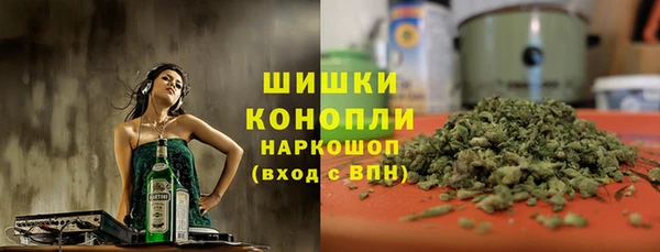 молекула духа Протвино